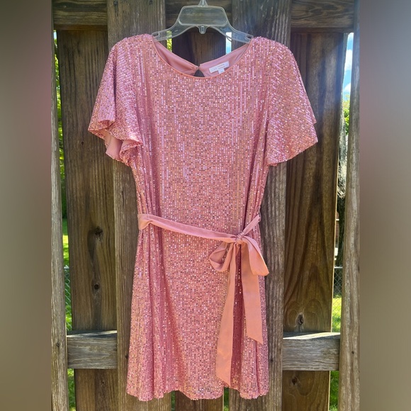 LC Pink Sequin Dress - Picture 2 of 10